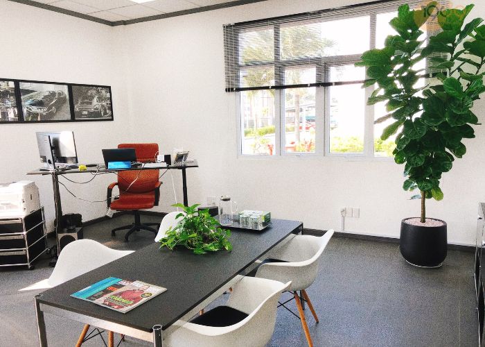 thiết kế nội thất văn phòng